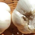 Το σκόρδο προστατεύει από τις δηλητηριάσεις