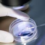 Ανακαλύψτε ποια βιταμίνη επηρεάζει την επιτυχία της τεχνητής γονιμοποίησης