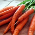 Πως να καλλιεργήσετε καρότα στο μπαλκόνι σας!