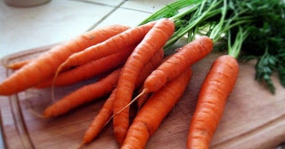 Πως να καλλιεργήσετε καρότα στο μπαλκόνι σας!
