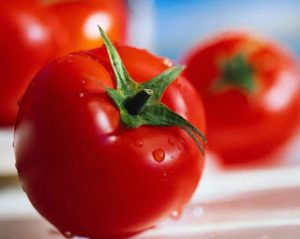 Πως να καλλιεργήσετε ντομάτες ανάποδα σε έναν κουβά