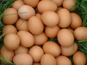 Πως να ξεχωρίσετε τα μπαγιάτικα αυγά από τα φρέσκα!