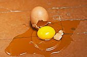 Πως θα μαζέψω το αυγό που έπεσε στο πάτωμα;