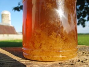 Τι κάνουμε όταν ζαχαρώνει το μέλι;