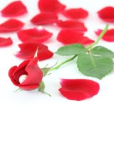 Τριαντάφυλλο και καρύδι για τα σημάδια του δέρματος