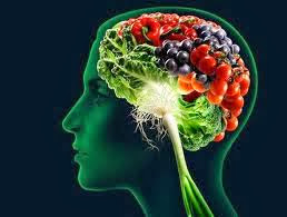 Η Μεσογειακή Διατροφή προστατεύει τον εγκέφαλο από ασθένειες όπως η νόσος του Αλτσχάιμερ