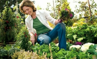 Tips & tricks κηπουρικής!