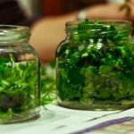 Πως να διατηρήσετε τον μαϊντανό όλο το χειμώνα!