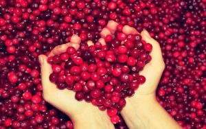 Αντιγήρανση προσώπου με cranberries