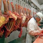 Εντείνονται οι έλεγχοι για την ανίχνευση κρέατος αλόγου