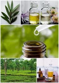 Οι εκπληκτικές χρήσεις του tea tree oil!