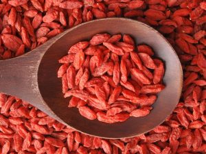 Goji berry : Γνωρίστε το νέο ελιξίριο νεότητας