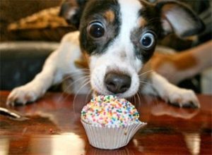 Πως να φάτε ένα cupcake χωρίς να λερωθείτε!