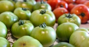 Συστατικά από πράσινη ντομάτα δυναμώνουν τους μυς