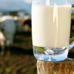 Γνωρίστε τη διατροφική αξία κάποιων εναλλακτικών μορφών γάλακτος