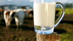 Γνωρίστε τη διατροφική αξία κάποιων εναλλακτικών μορφών γάλακτος