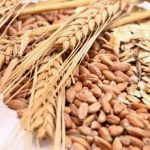 Η σημασία των δημητριακών ολικής αλέσεως για την υγεία μας