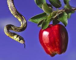 Το “μήλον της έριδος” έχει πολλές χρήσεις!