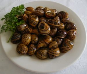 Χοχλιοί (σαλιγκάρια) μπουμπουριστοί