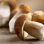 Μάσκα με μανιτάρια για όλους τους τύπους δέρματος
