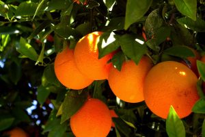 Μερικοί τρόποι για να χρησιμοποιήσεις τα πορτοκάλια για το δέρμα σου!