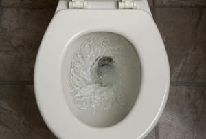 Καθαρίστε την τουαλέτα σας με…γιαούρτι!