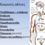 Άλλη μια παγκόσμια διάκριση για Έλληνα γιατρό