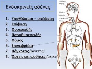 Άλλη μια παγκόσμια διάκριση για Έλληνα γιατρό