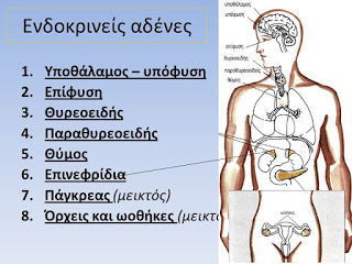 Άλλη μια παγκόσμια διάκριση για Έλληνα γιατρό