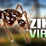 Ιός Ζίκα – Να ετοιμάζεται και η Ευρώπη για ενδεχόμενη επιδημία