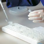 Καθυστέρησαν τη γήρανση σε ποντίκια