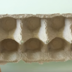 DIY- Διακοσμητικό φωτιστικό από τις χάρτινες θήκες των αυγών!