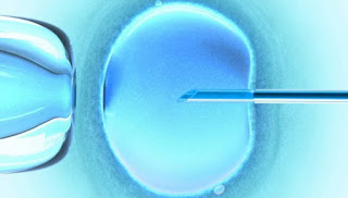 Εμβρυομεταφορά κατεψυγμένων εμβρύων μετά από αποτυχημένη προσπάθεια εξωσωματικής