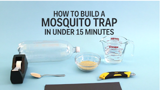Πως να φτιάξετε μια παγίδα για τα κουνούπια σε λιγότερο από 15 λεπτά!