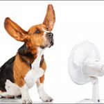 Δροσιστείτε χωρίς air conditinon!