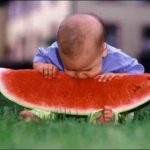 Καρπούζι: η διατροφική αξία του αγαπημένου φρούτου του καλοκαιριού