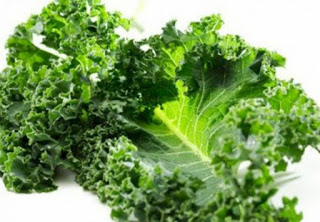 Kale: Ένα είδος λάχανου με μοναδικές ιδιότητες