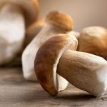 Έτσι θα διατηρήσετε τα μανιτάρια αναλλοίωτα!