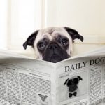 Πέντε βήματα για την αντιμετώπιση της δυσκοιλιότητας
