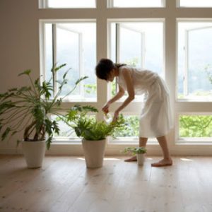 Αυτά είναι τα φυτά που θα καθαρίσουν τον αέρα του σπιτιού σας!