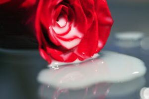 DIY Αφρόλουτρο με τριαντάφυλλο και γάλα!