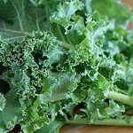 Kale: Γνωρίστε τη θρεπτική αξία του ιδιαίτερου αυτού λαχανικού