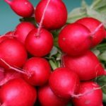 Μάσκα για το λιπαρό δέρμα με καρότο και ραπανάκι!