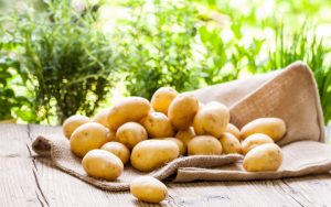 Τι θρεπτικά συστατικά μας προσφέρουν οι πατάτες