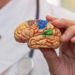 Δείτε πώς το βάρος και οι συνήθειες ύπνου συνδέονται με την άνοια