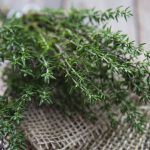 DIY Σαπούνι με θυμάρι!