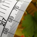 Γλιτώστε θερμίδες με μια μόνο απλή αλλαγή