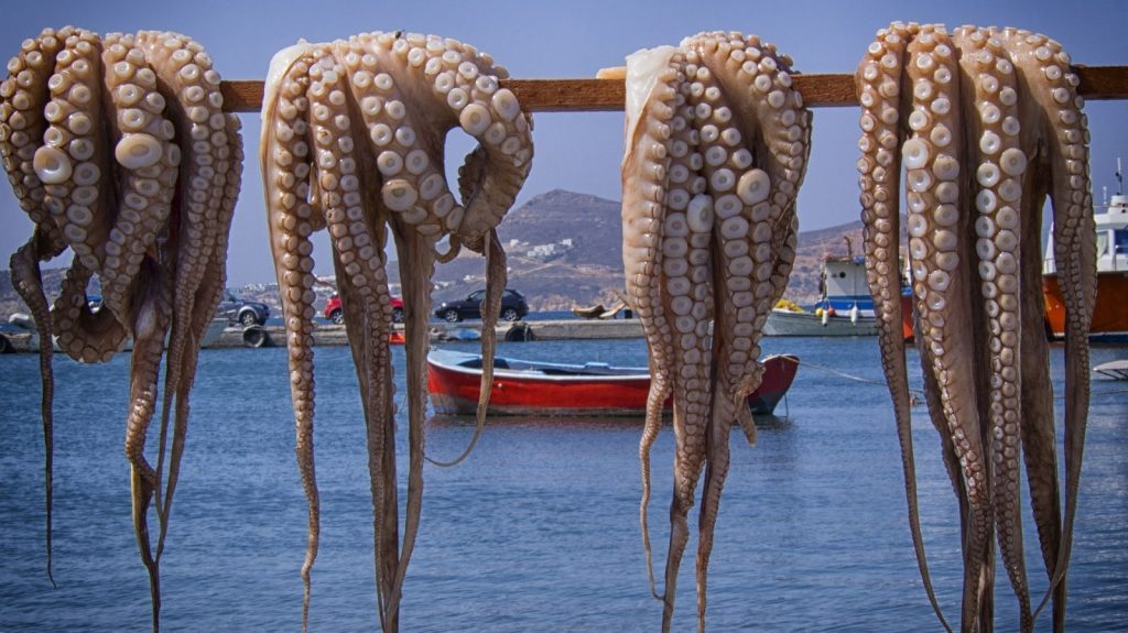 Τι θρεπτικά συστατικά μας προσφέρει το χταπόδι