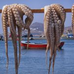 Τι θρεπτικά συστατικά μας προσφέρει το χταπόδι