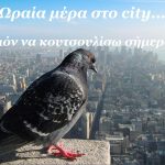 Οδηγός χρήσης μετά από κουτσουλιά